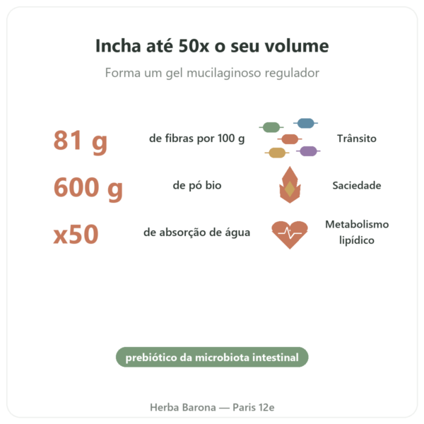 Psyllium Louro Bio em Pó – Ethnoscience – 600 g benefícios e dados principais Paris Herba Barona