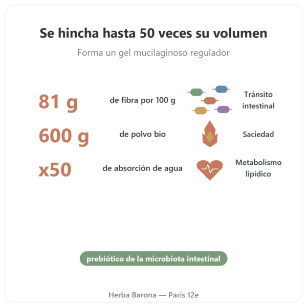 Psyllium Rubio Bio en Polvo – Ethnoscience – 600 g beneficios y datos clave Paris Herba Barona