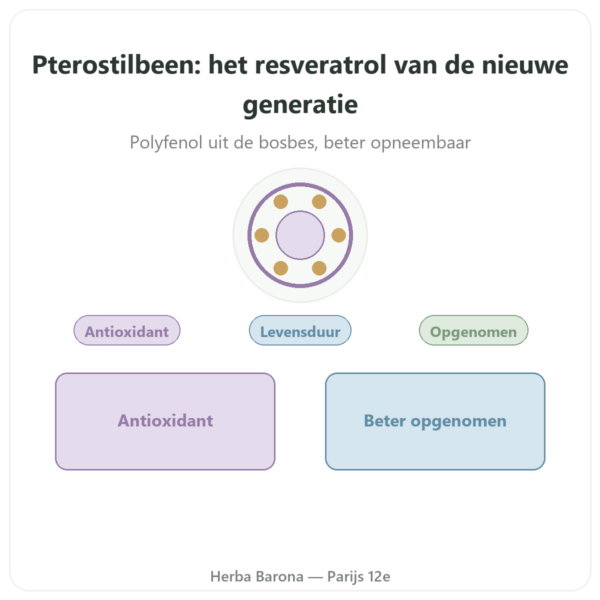 Pterostilbeen 50 mg – DYNVEO – 60 capsules presentatie Paris Herba Barona