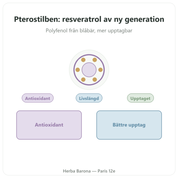 Pterostilben 50 mg DYNVEO 60 kapslar presentation Paris Herba Barona
