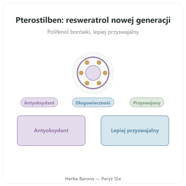 Pterostylben 50 mg DYNVEO 60 kapsułek prezentacja Paris Herba Barona