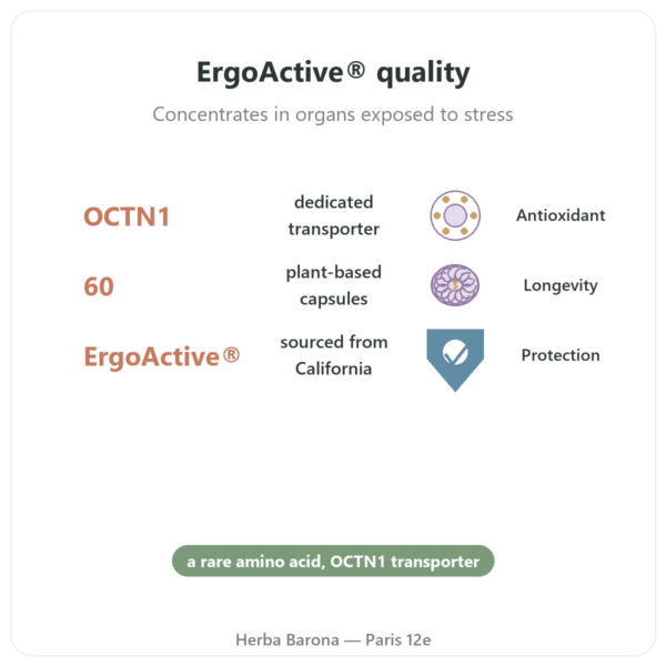 Pure Ergothioneine ErgoActive – Dynveo – 60 capsules benefits and key facts Paris Herba Barona