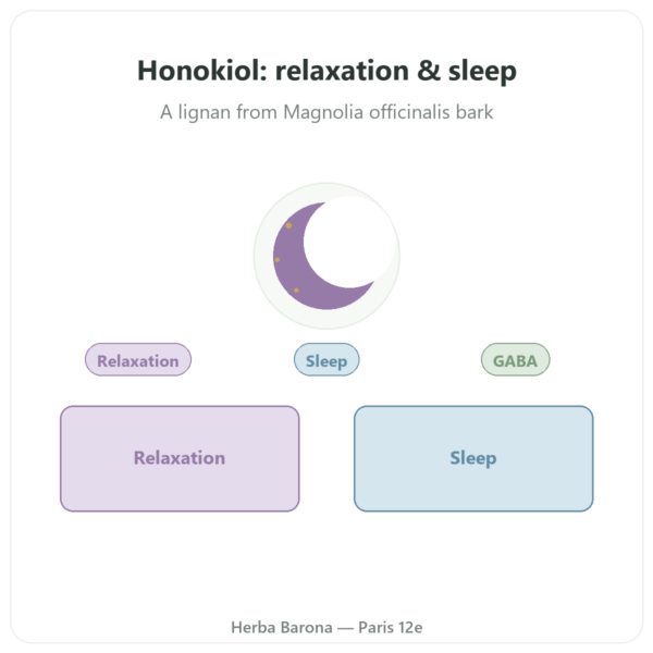 Pure Honokiol – 300mg – Magnolia Bark Extract – 60 Capsules presentation Paris Herba Barona