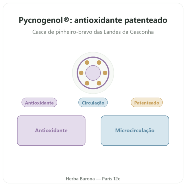 Pycnogenol Dynveo – 100 mg – 70% procianidinas (OPC) – 60 Cápsulas apresentação Paris Herba Barona