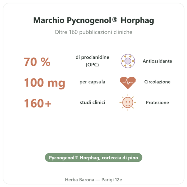 Pycnogenol Dynveo – 100 mg – 70% procianidine (OPC) – 60 capsule benefici e dati chiave Paris Herba Barona