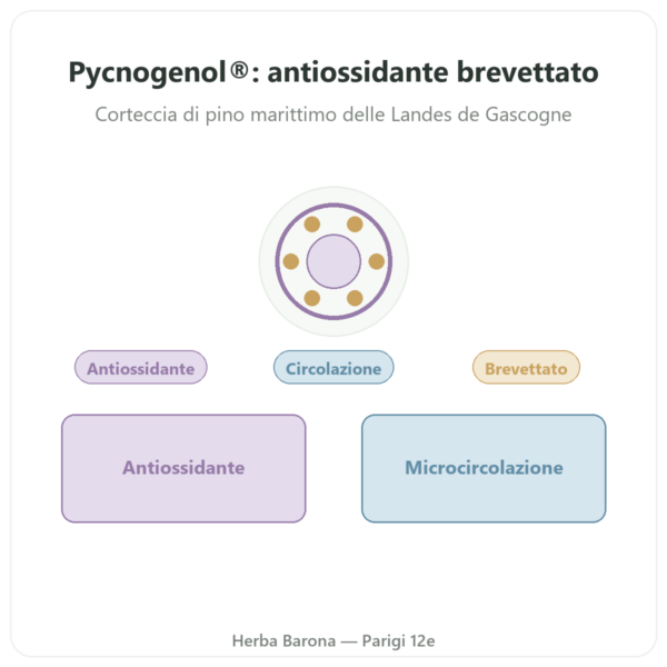 Pycnogenol Dynveo – 100 mg – 70% procianidine (OPC) – 60 capsule presentazione Paris Herba Barona
