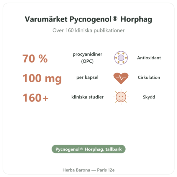 Pycnogenol Dynveo – 100 mg – 70% procyanidiner (OPC) – 60 Kapslar fördelar och nyckelfakta Paris Herba Barona