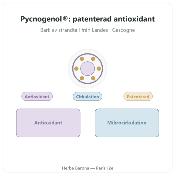 Pycnogenol Dynveo – 100 mg – 70% procyanidiner (OPC) – 60 Kapslar presentation Paris Herba Barona