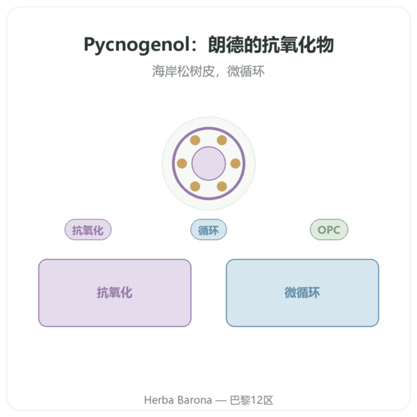 碧萝芷 Pycnogenol 50 mg 60 粒 Dynveo 产品展示 Paris Herba Barona