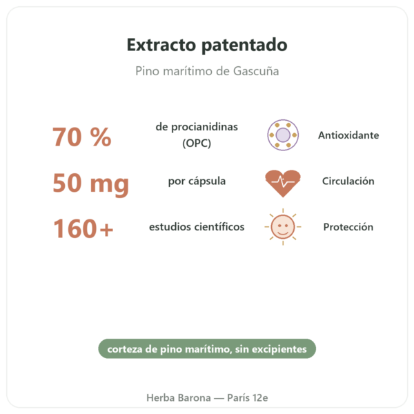 Pycnogenol 50 mg – 60 cápsulas – Dynveo beneficios y datos clave Paris Herba Barona