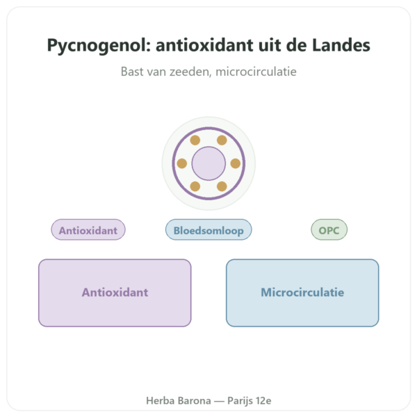 Pycnogenol 50 mg 60 Caps. Dynveo presentatie Paris Herba Barona