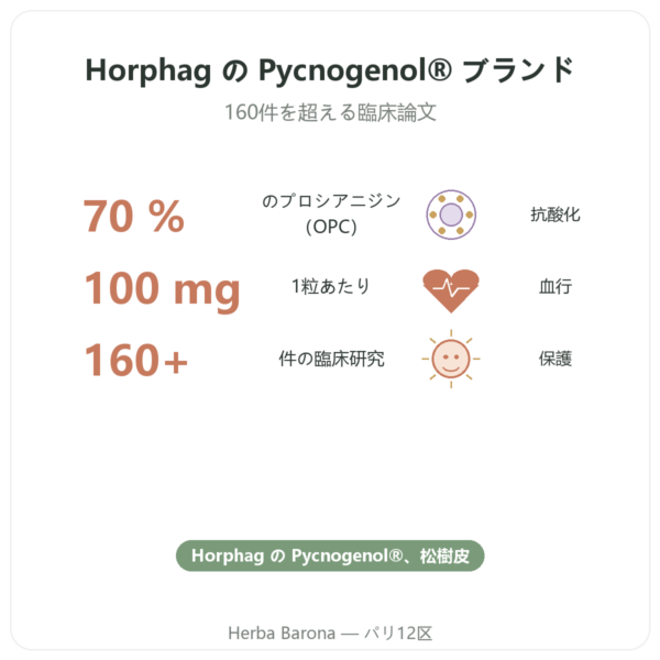 Pycnogenol Dynveo – 100 mg – プロシアニジン(OPC)70% – 60カプセル benefits and key facts Paris Herba Barona