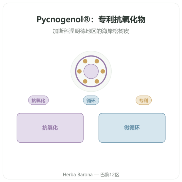 Pycnogenol 碧萝芷 Dynveo – 100 mg – 70% 原花青素(OPC)– 60 粒胶囊 产品展示 Paris Herba Barona