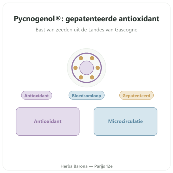 Pycnogenol Dynveo – 100 mg – 70% Procyanidinen (OPC) – 60 Capsules presentatie Paris Herba Barona
