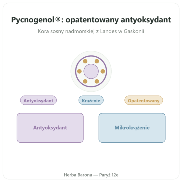 Pycnogenol Dynveo – 100 mg – 70% procyjanidyn (OPC) prezentacja Paris Herba Barona