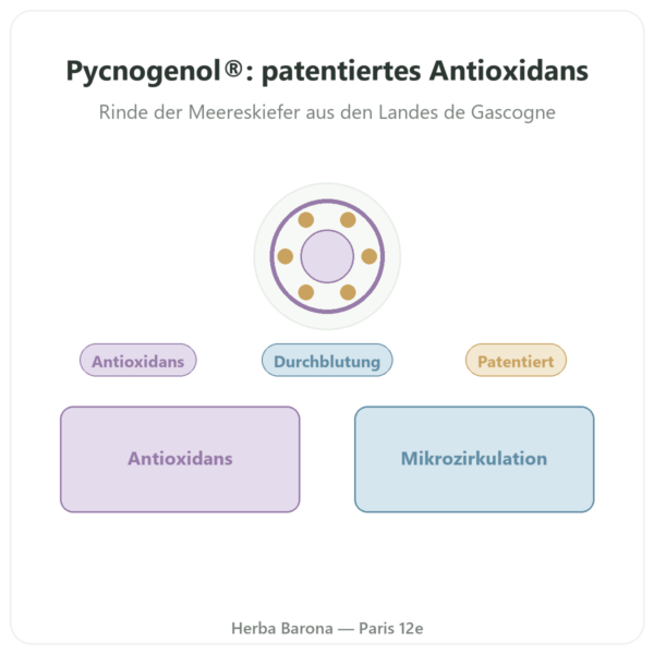 Pycnogenol® Kiefernrindenextrakt – Dynveo – 100 mg – 60 Kapseln Vorstellung Paris Herba Barona