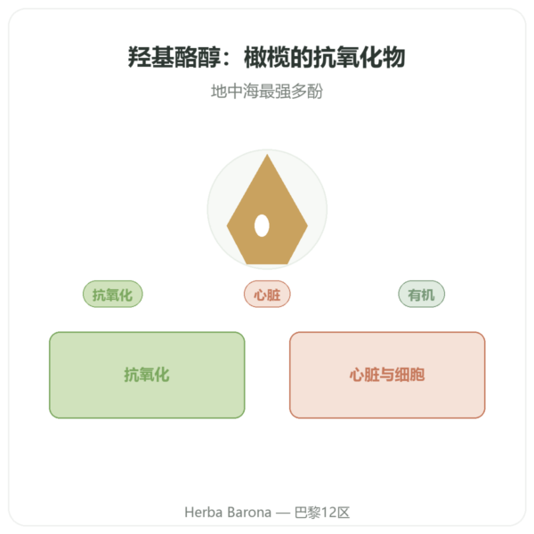 羟基酪醇 有机橄榄提取物 Dynveo 60 粒胶囊 产品展示 Paris Herba Barona