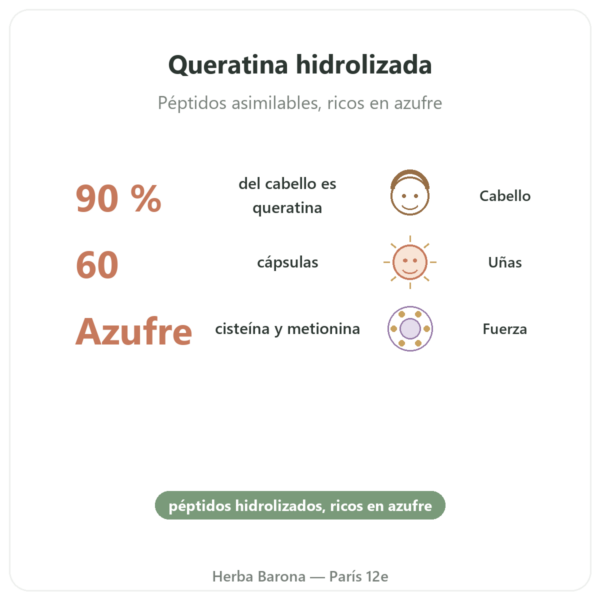 Queratina Dynveo – 60 cápsulas beneficios y datos clave Paris Herba Barona