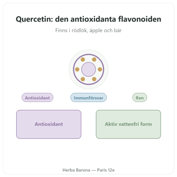Quercetin 500 mg 60 kapslar DYNVEO presentation Paris Herba Barona