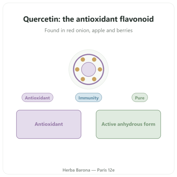 Quercetin 500 mg - 60 Capsules - Dynveo presentation Paris Herba Barona