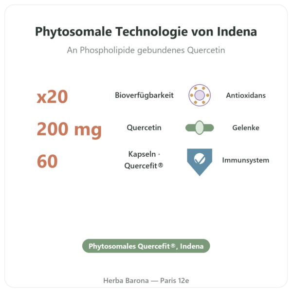 Quercetin Phytosom Quercefit® – Dynveo – 60 Kapseln Vorteile und Fakten Paris Herba Barona