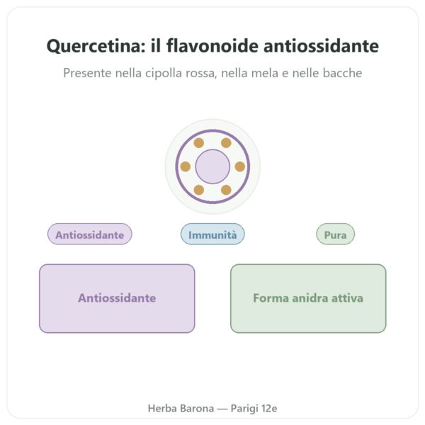 Quercetina 500 mg 60 capsule DYNVEO presentazione Paris Herba Barona