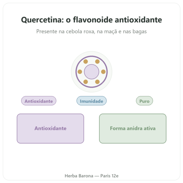 Quercetina 500 mg 60 cápsulas DYNVEO apresentação Paris Herba Barona