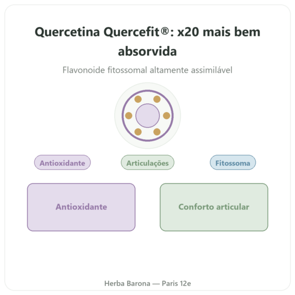 Quercetina Otimizada Quercefit Dynveo 60 Cápsulas apresentação Paris Herba Barona