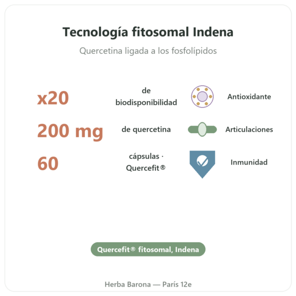 Quercetina Optimizada Quercefit Dynveo – 60 cápsulas beneficios y datos clave Paris Herba Barona