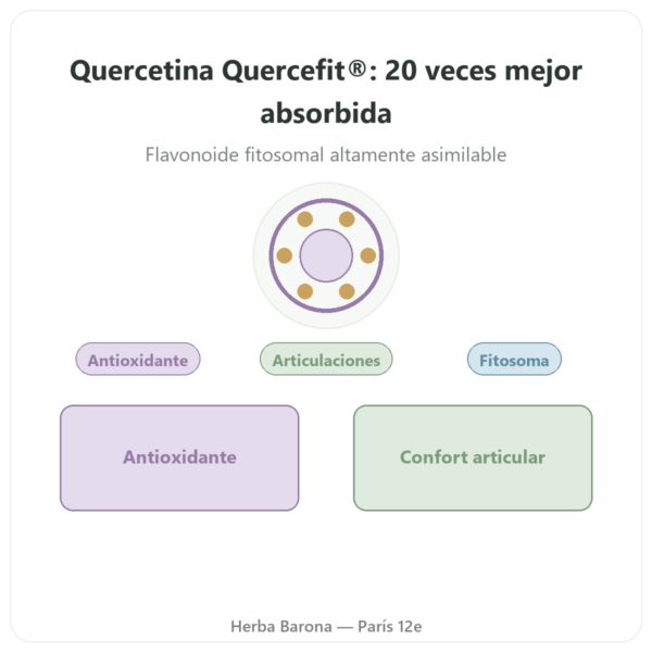 Quercetina Optimizada Quercefit Dynveo – 60 cápsulas presentación Paris Herba Barona