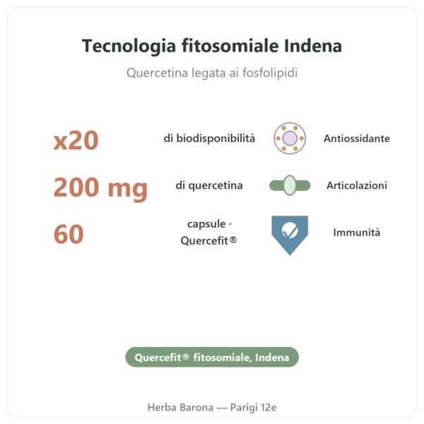 Quercetina Ottimizzata Quercefit Dynveo – 60 capsule benefici e dati chiave Paris Herba Barona