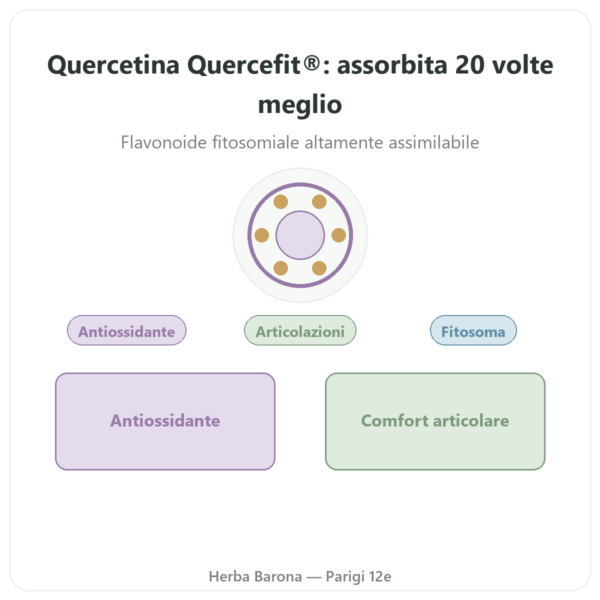 Quercetina Ottimizzata Quercefit Dynveo – 60 capsule presentazione Paris Herba Barona