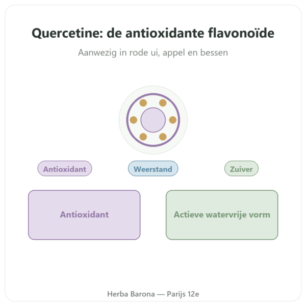 Quercetine 500 mg 60 capsules – DYNVEO presentatie Paris Herba Barona