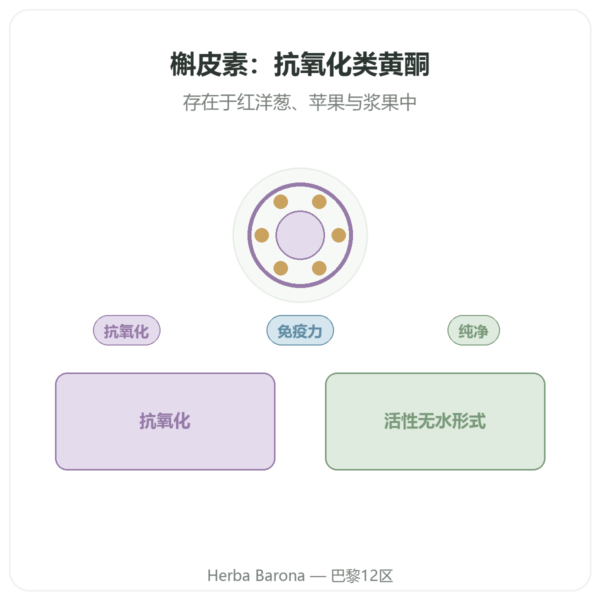 槲皮素 500 mg 60粒 DYNVEO 产品展示 Paris Herba Barona