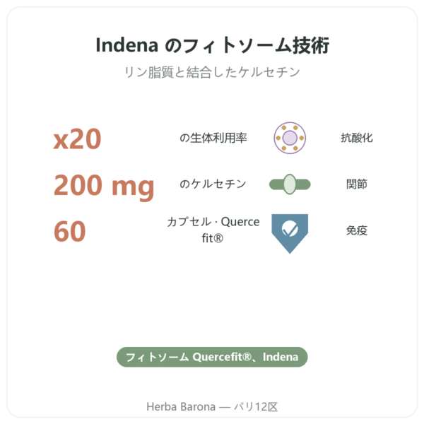 Dynveo 高吸収ケルセチン Quercefit 60カプセル benefits and key facts Paris Herba Barona
