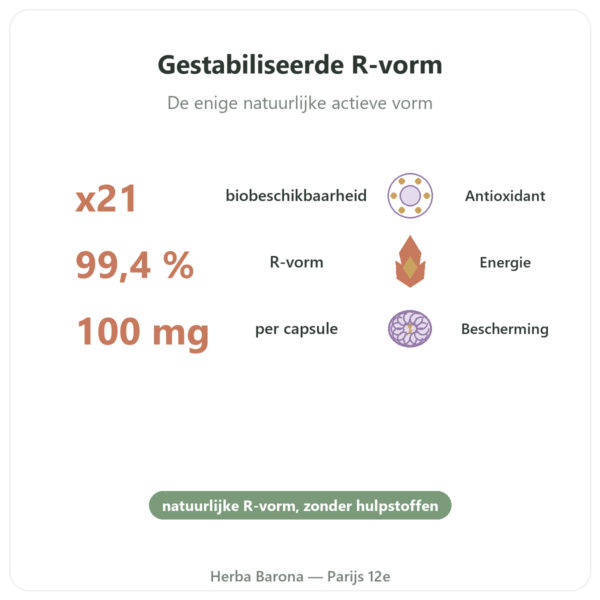 R-alfa-liponzuur 100 mg – DYNVEO – 60 capsules voordelen en kerngegevens Paris Herba Barona