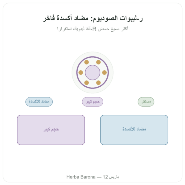 R-lipoate الصوديوم 300 ملغ – Dynveo – 300 كبسولة عرض المنتج Paris Herba Barona