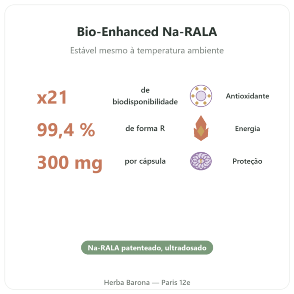 R-lipoato de Sódio 300 mg – 60 cápsulas – Dynveo benefícios e dados principais Paris Herba Barona