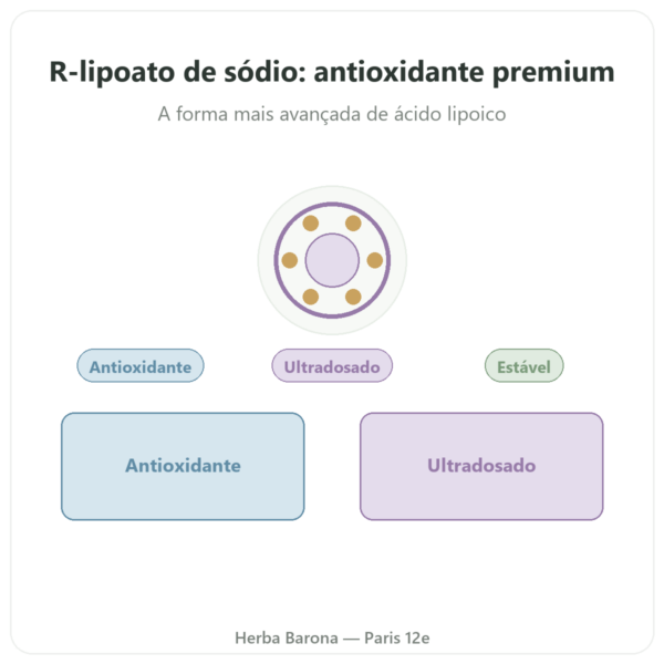 R-lipoato de Sódio 300 mg – 60 cápsulas – Dynveo apresentação Paris Herba Barona