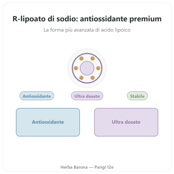 R-lipoato di Sodio 300 mg – 60 capsule – Dynveo presentazione Paris Herba Barona