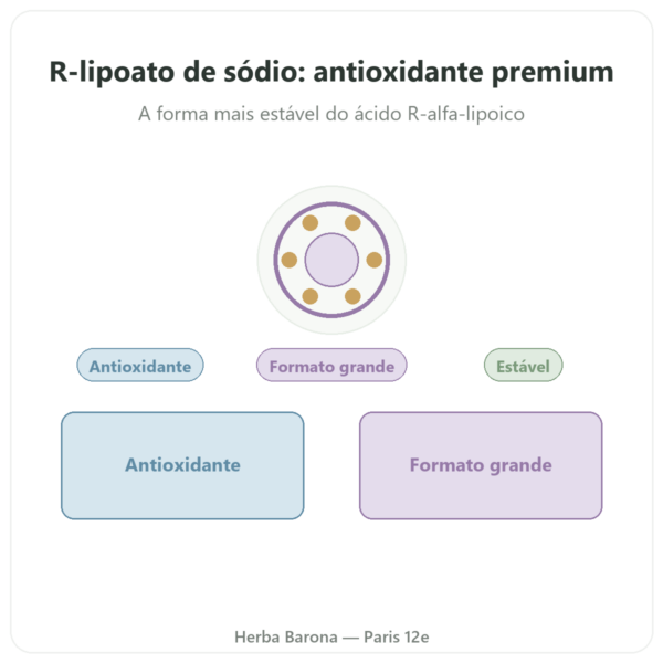 R-lipoato de Sódio 300mg – Dynveo – 300 Cápsulas apresentação Paris Herba Barona
