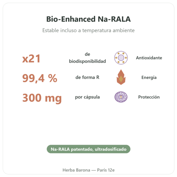 R-lipoato de Sodio 300 mg – 60 cápsulas – Dynveo beneficios y datos clave Paris Herba Barona