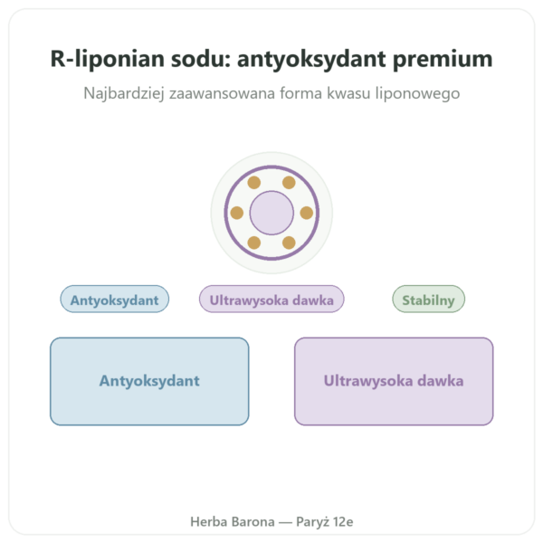 R-liponian Sodu 300 mg – 60 kapsułek – Dynveo prezentacja Paris Herba Barona