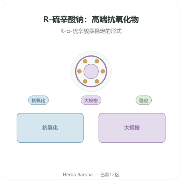 R-硫辛酸钠 300mg – Dynveo – 300 粒胶囊 产品展示 Paris Herba Barona