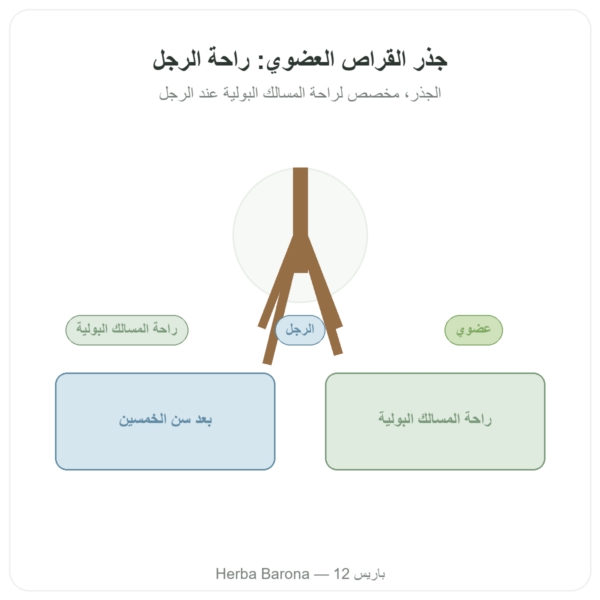 جذر القراص العضوي – Dynveo – مستخلص 4:1 – 60 كبسولة عرض المنتج Paris Herba Barona
