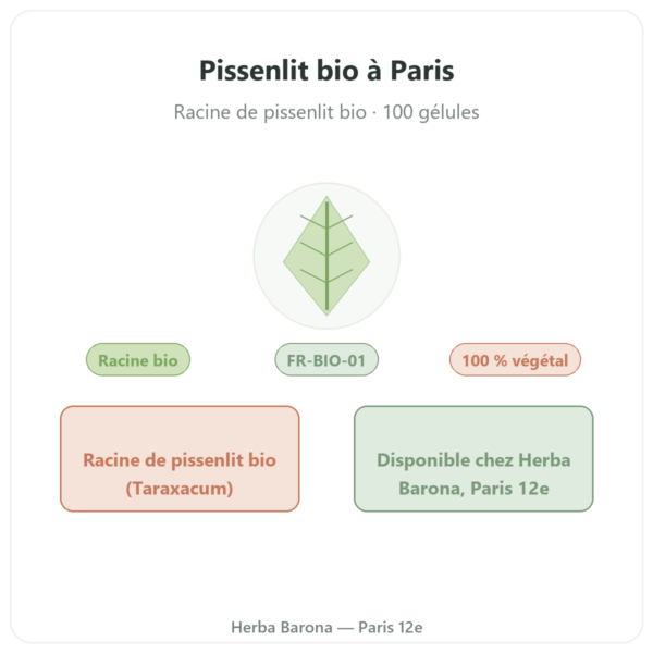 Racine de pissenlit bio Qualidiet 100 gelules presentation Paris Herba Barona