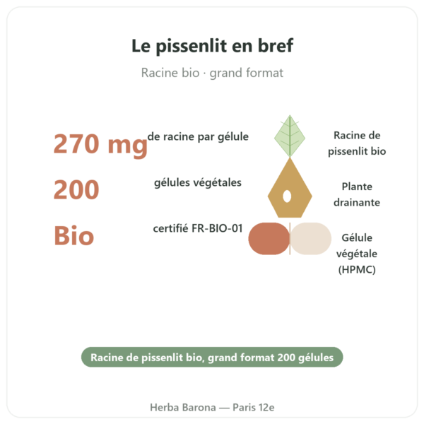 Racine de pissenlit bio Qualidiet 200 gelules en bref Paris Herba Barona