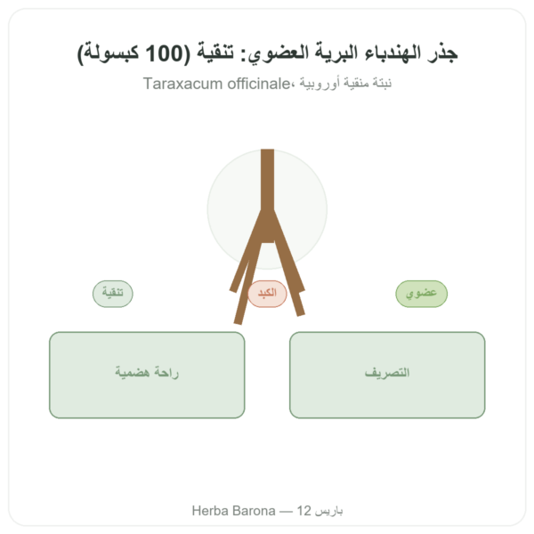 جذر الهندباء البرية العضوي – Neodiet – 100 كبسولة عرض المنتج Paris Herba Barona
