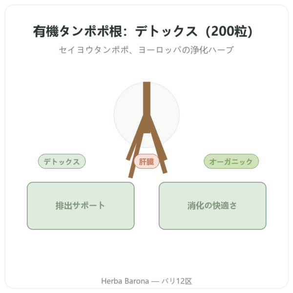 オーガニック ダンデライオン（タンポポ）ルート – Neodiet – 200カプセル presentation Paris Herba Barona
