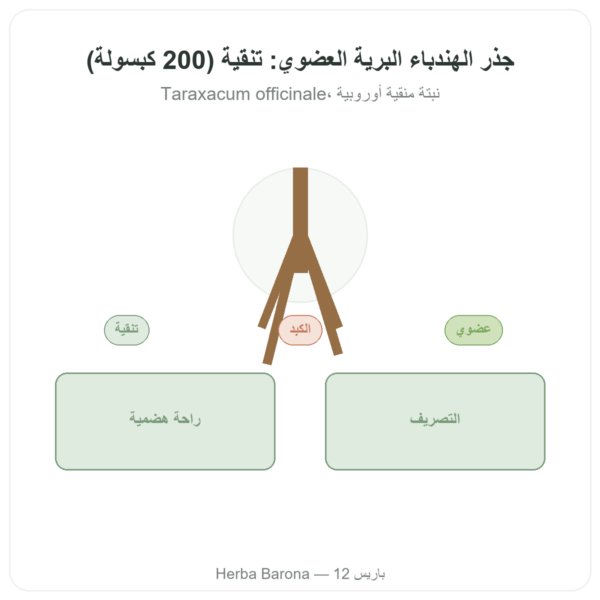 جذر الهندباء البرية عضوي – Neodiet – 200 كبسولة عرض المنتج Paris Herba Barona